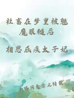 社畜在梦里被魅魔狠糙后