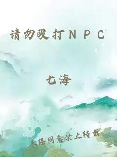 请勿殴打ＮＰＣ