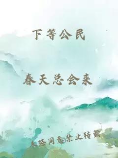 下等公民