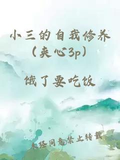 小三的自我修养（夹心3p）