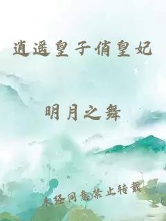 逍遥皇子俏皇妃