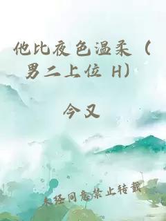 他比夜色温柔（男二上位 H）