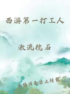 西游第一打工人