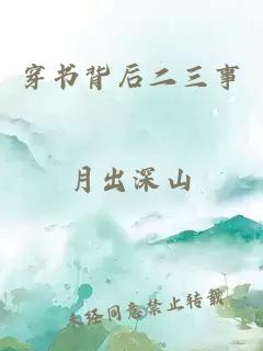 穿书背后二三事