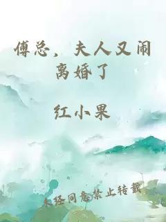 傅总，夫人又闹离婚了