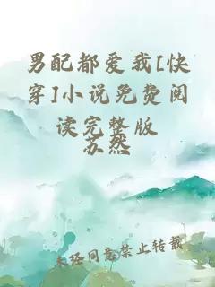 男配都爱我[快穿]小说免费阅读完整版