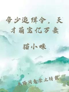 帝少追缉令，天才萌宝亿万妻