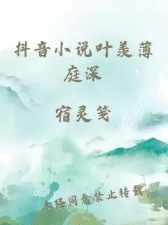 抖音小说叶羡薄庭深