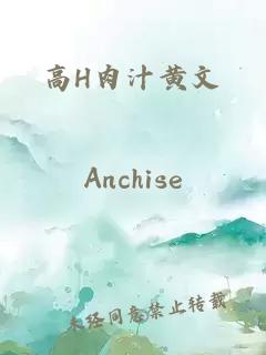 高H肉汁黄文