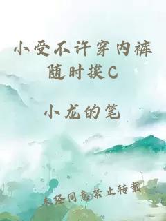 小受不许穿内裤随时挨C