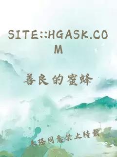 SITE::HGASK.COM