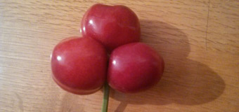 少见的三胞胎樱桃 不是每年都能见到的